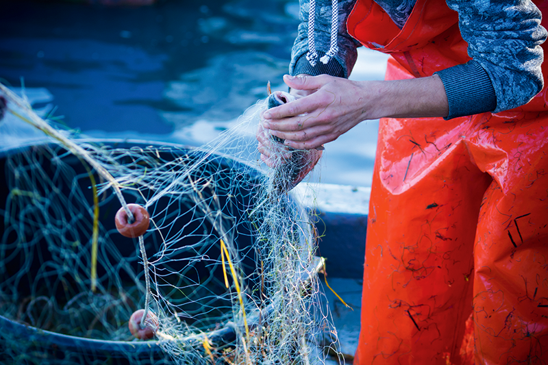 Ein Fischer holt ein Fisch aus einem Netz.